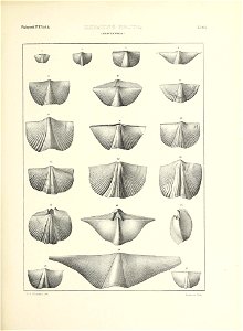 n620_w1150