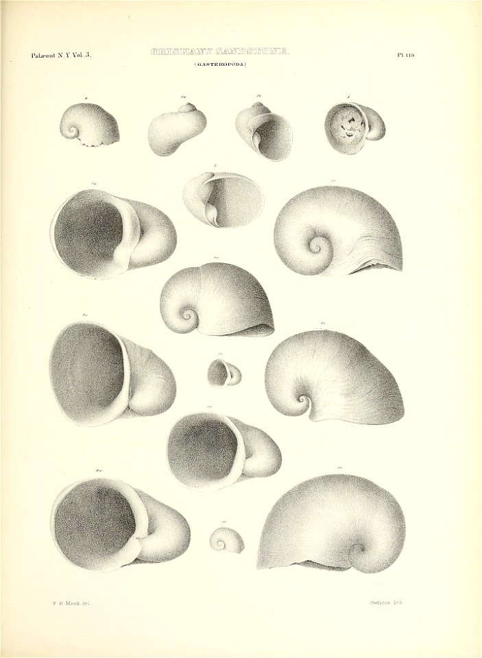 n566_w1150
