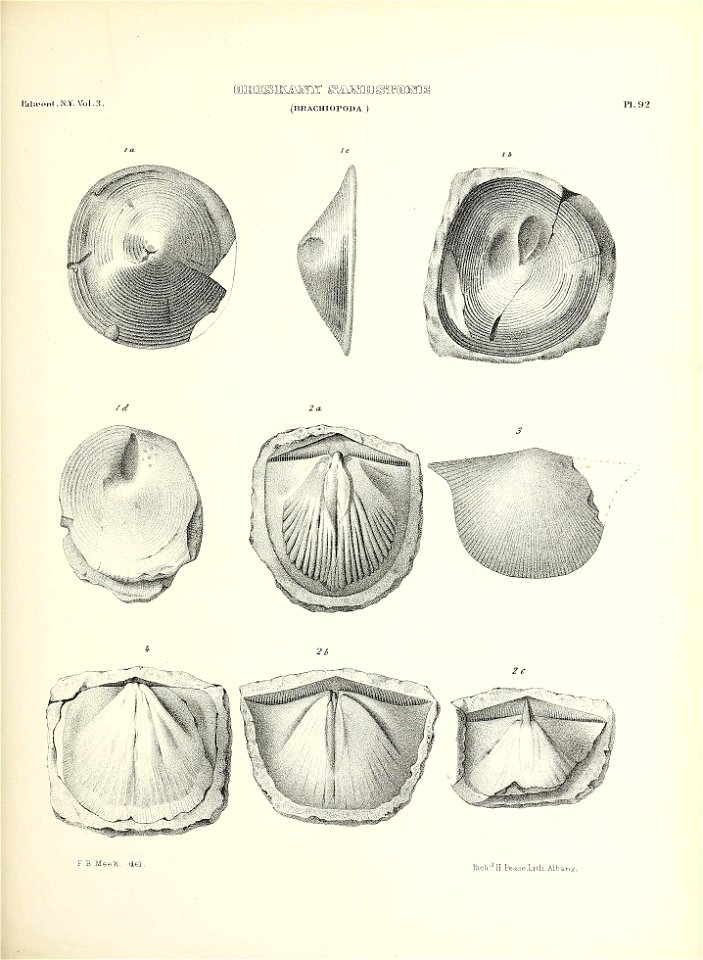 n446_w1150