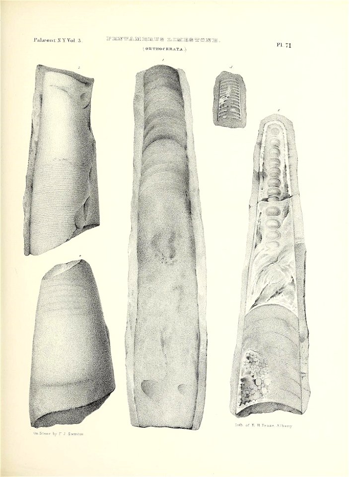 n326_w1150