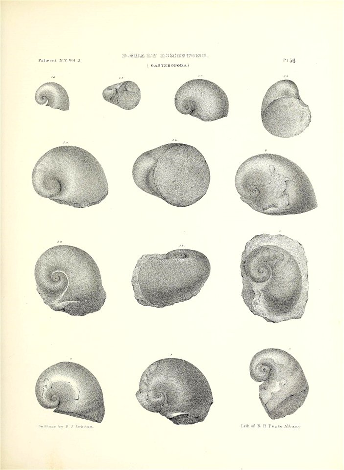 n266_w1150