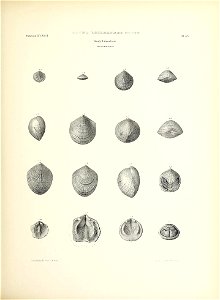 n206_w1150