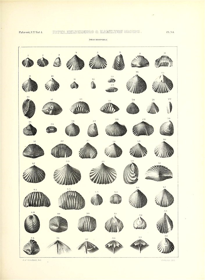n676_w1150