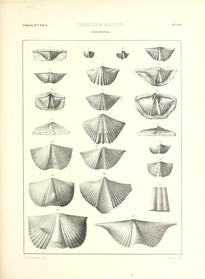 n616_w1150