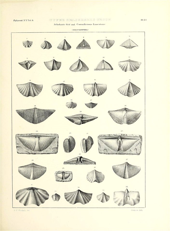 n556_w1150