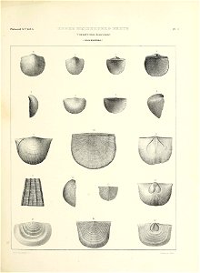 n496_w1150