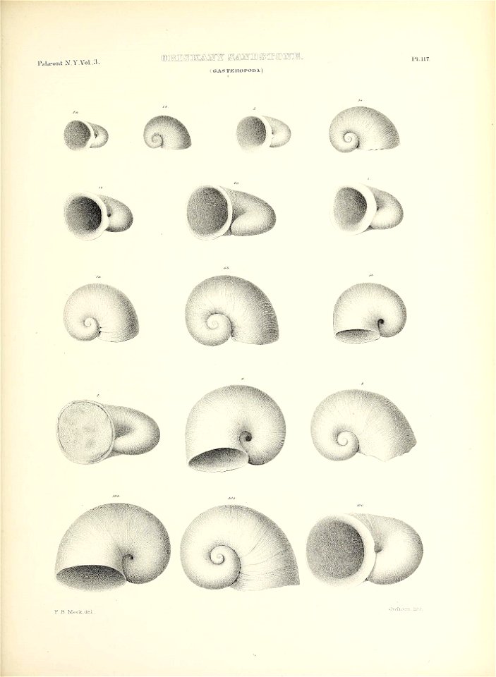 n562_w1150