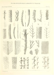 n596_w1150