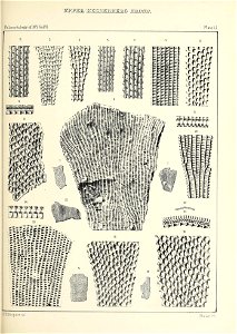 n536_w1150