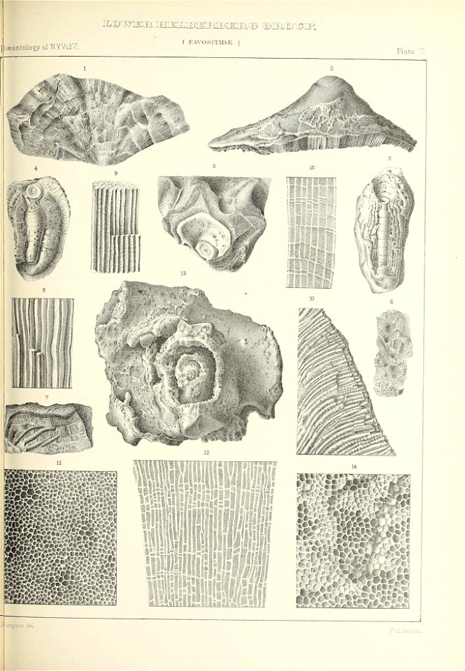 n356_w1150