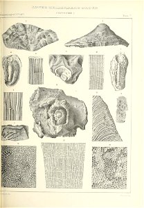 n356_w1150
