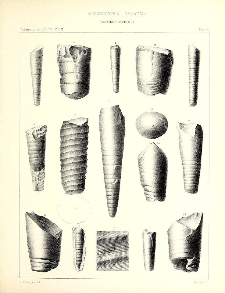 n424_w1150