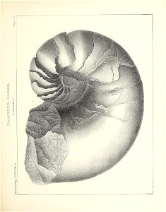 n290_w1150