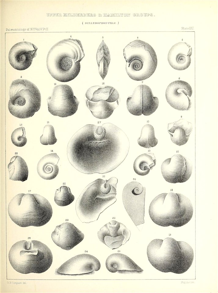 n98_w1150