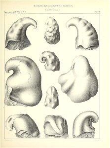 n38_w1150