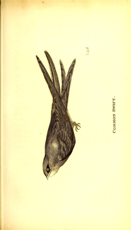 n112_w1150