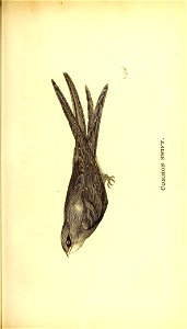 n112_w1150
