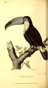 n479_w1150