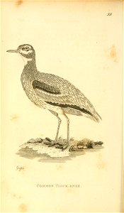 n259_w1150