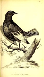n558_w1150