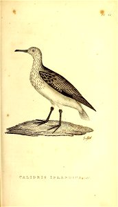 n426_w1150