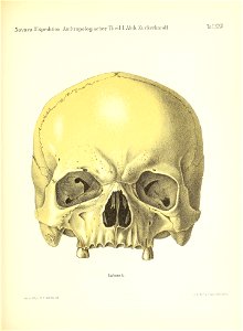 n184_w1150