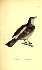 n16_w1150