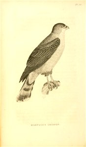 n401_w1150