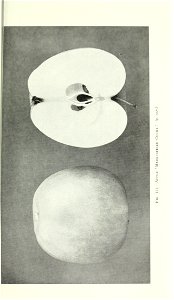 n974_w1150