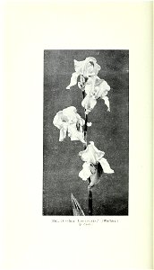 n871_w1150
