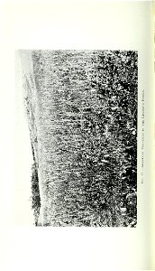 n321_w1150