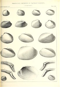n530_w1150