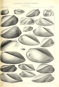 n410_w1150