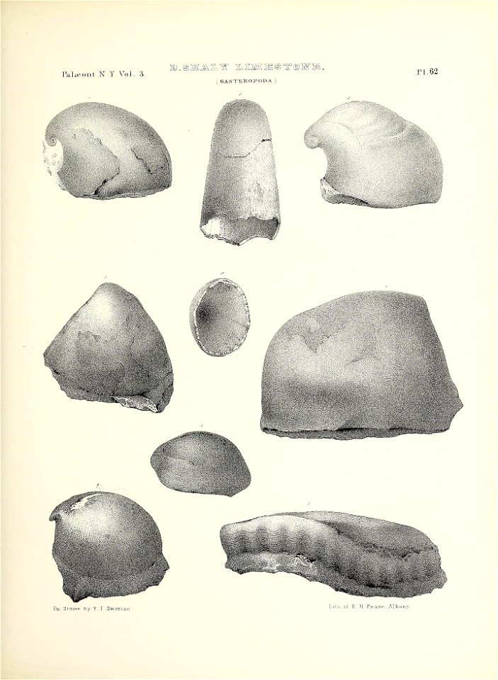 n290_w1150