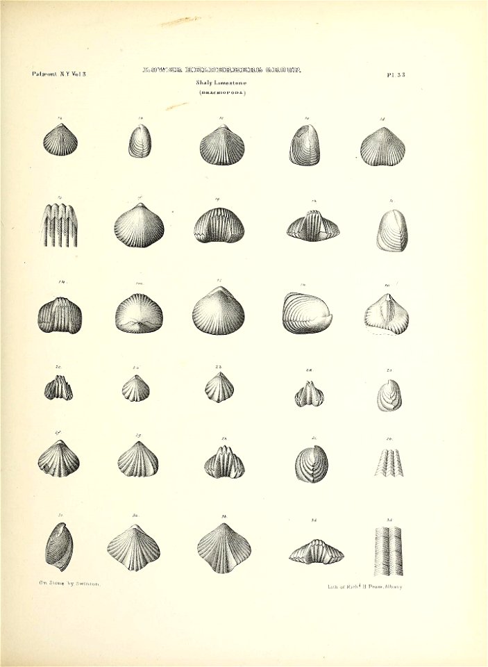 n170_w1150
