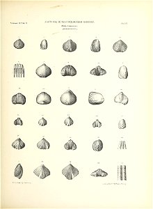 n170_w1150