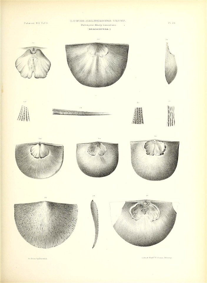 n110_w1150