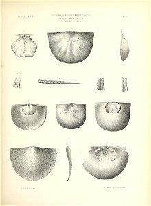 n110_w1150