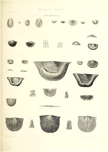n664_w1150