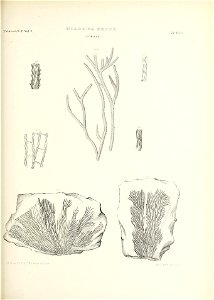 n604_w1150