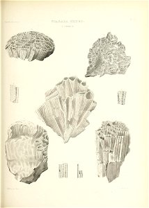 n544_w1150