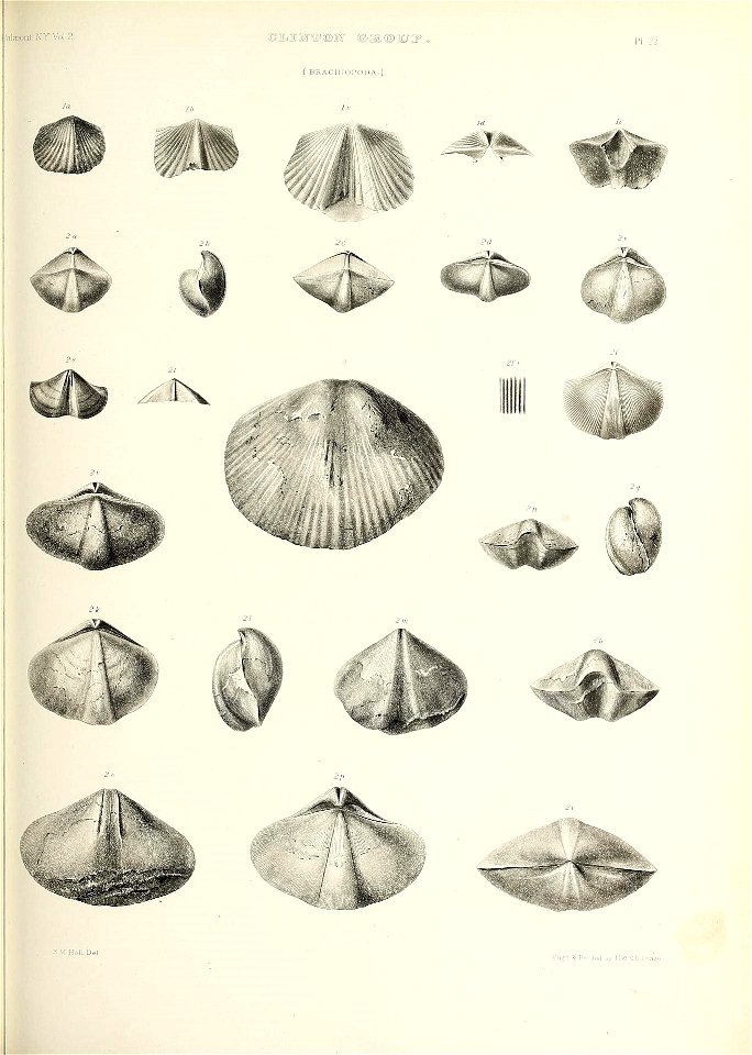 n484_w1150