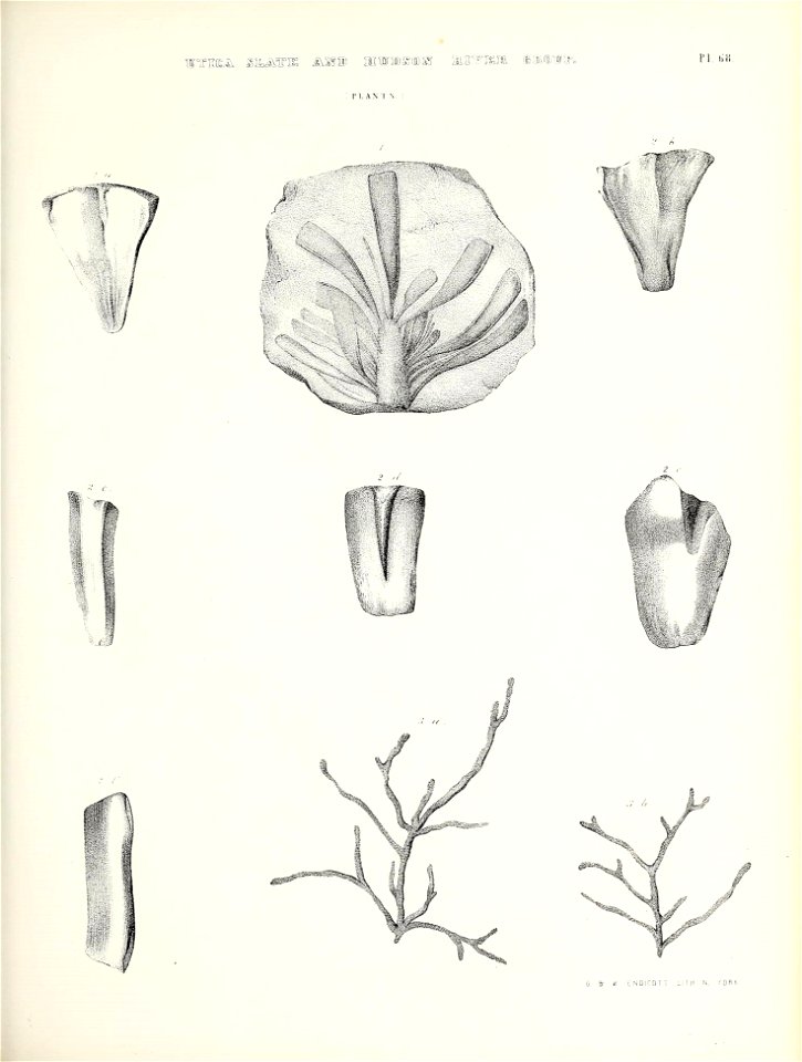 n692_w1150