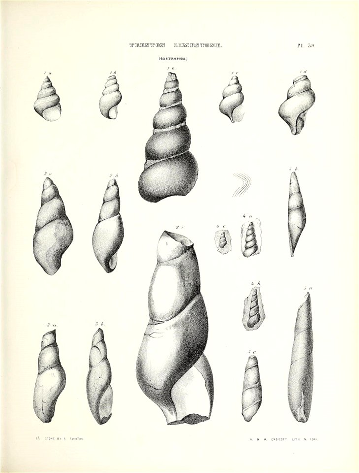 n566_w1150