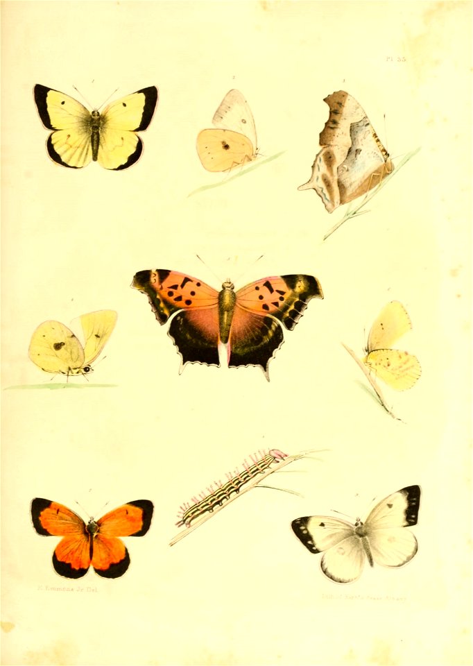 n438_w1150