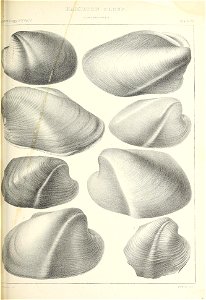 n458_w1150