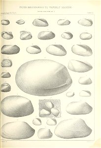n398_w1150