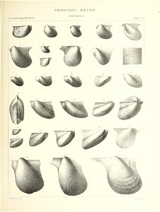 n382_w1150