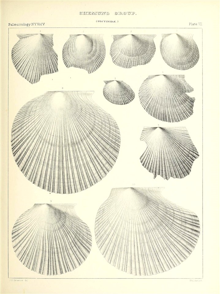 n322_w1150