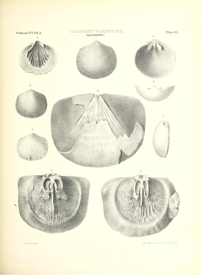 n458_w1150